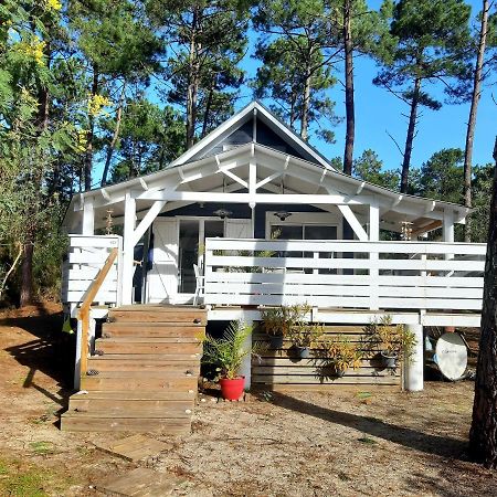 Domaine résidentiel naturiste de la Jenny chalet 6 pers Villa Le Porge Esterno foto